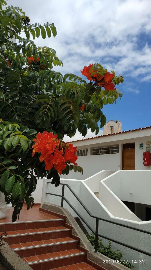 Club El Paradero Плая де лас Америкас Екстериор снимка
