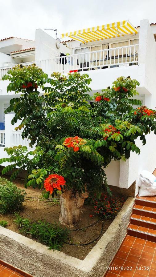 Club El Paradero Плая де лас Америкас Екстериор снимка